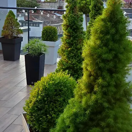 Apart-terrace On Baker Street Lviv