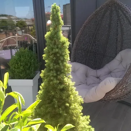 Apart-terrace On Baker Street * לבוב